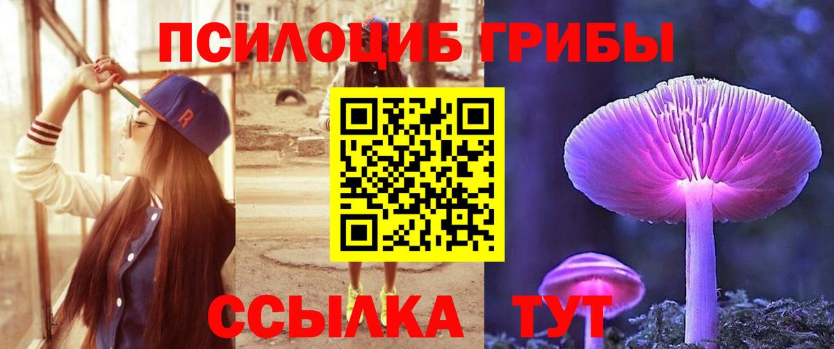 Псилоцибиновые грибы Magic Shrooms  Псилоцибиновые грибы ЛСД  Прокопьевск  Вход с VPN 