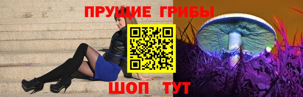 Псилоцибиновые грибы мухоморы Прокопьевск